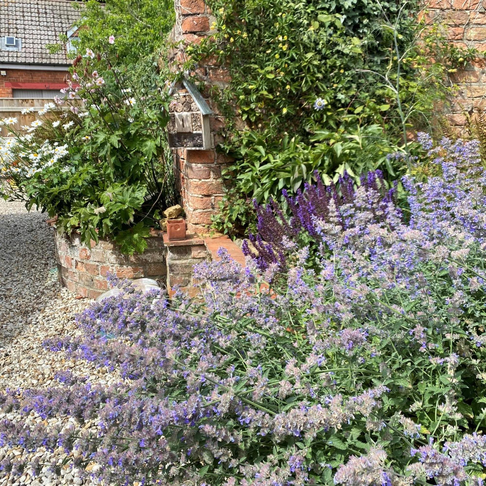 Caistor Bed & Breakfast Exterior photo